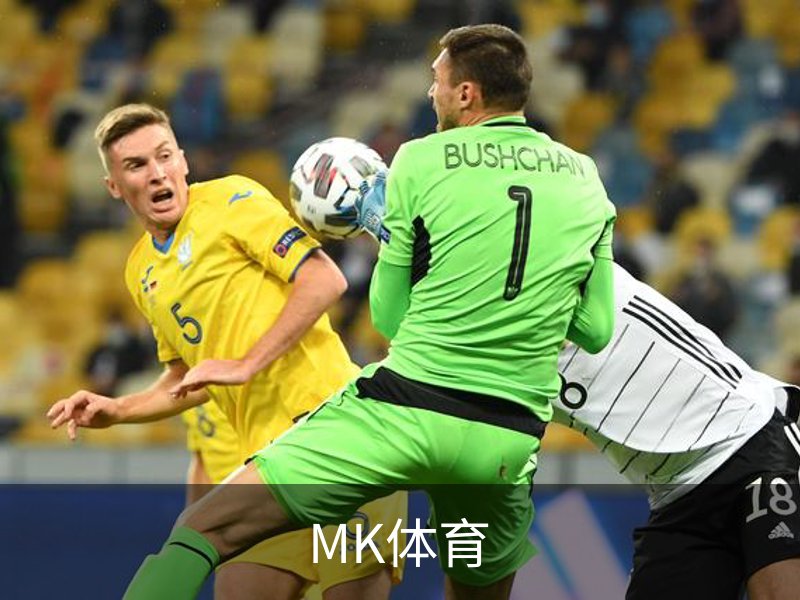 了解MK体育